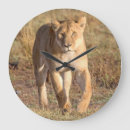 Suche nach afrika wanduhren Löwe