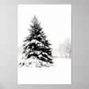 Suche nach winterbaum poster Fotografie