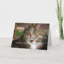 Suche nach chirurg karten Jede person