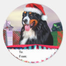 Suche nach bernese mountain dog aufkleber Weihnachten