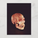 Suche nach evolution postkarten Mensch