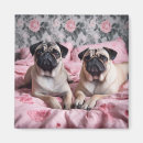 Suche nach herrlich magnete Rosa