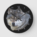 Suche nach grauer wolf wanduhren Grauwolf
