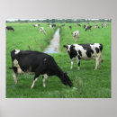 Suche nach milchkuh poster Bauernhof