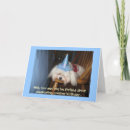 Suche nach maltese karten Hund