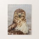 Suche nach boden puzzle Vogelvogel