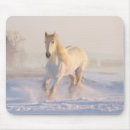 Suche nach stallion mousepads Horse