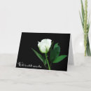 Suche nach schwarze rose karten Jede person