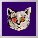 Suche nach verrückte katzen poster Kätzchen