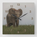 Suche nach busch wanduhren Afrikanisch