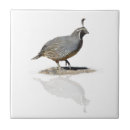 Suche nach reflektiert fliesen Fotografie