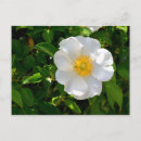 Suche nach naht postkarten Jede person