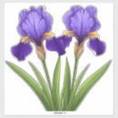Suche nach schwertlilie aufkleber Blüte