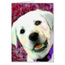 Suche nach labradorwelpe Welpen