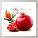 Suche nach granatapfel poster Rot
