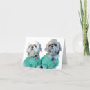 Suche nach shih tzu waren karten Haustiere