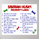 Suche nach husky poster Haustiere