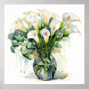 Suche nach calla poster Calla lilien blume