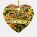 Suche nach reflexion ornamente Natur