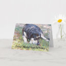 Suche nach trauriger hund karten Niedlich