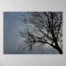 Suche nach versteckt poster Baum