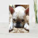 Suche nach unwiderstehlich karten Jede person