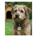 Suche nach hundehütte kunst Haustier