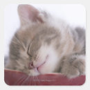 Suche nach tierkörperteil aufkleber Studioaufnahme