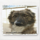 Suche nach rettungen mousepads Jede person