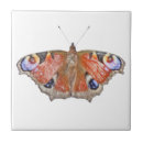 Suche nach verblaßt fliesen Natur