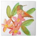 Suche nach kolibris fliesen Jede person