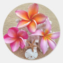 Suche nach plumeria aufkleber Strand
