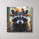 Suche nach raccoon leinwandbilder Niedlich