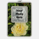 Suche nach knospen ornamente Rose