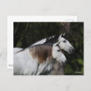 Suche nach andalusier postkarten Rasse