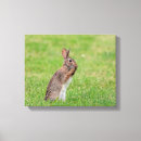 Suche nach easter leinwandbilder Kaninchen