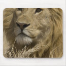 Suche nach afrikanische löwen mousepads Mary ann mcdonald