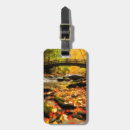 Suche nach strom gepäckanhänger Felsen