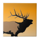 Suche nach elk fliesen Wapiti