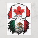Suche nach mexico flagge postkarten Mexikanisch