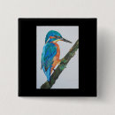 Suche nach eisvogel accessoires Orange