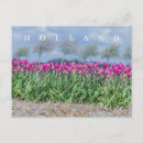 Suche nach polland postkarten Blume