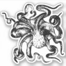 Suche nach tiefsee aufkleber Oktopus