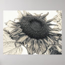 Suche nach sepia kunst Für sie