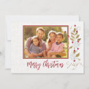 Suche nach poinsetta Fotokarte