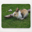 Suche nach ostern kaninchen mousepads Glücklicher oster