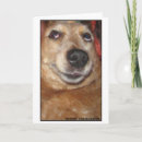 Suche nach hundefoto karten Fotografie