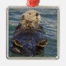 Suche nach eisberg ornamente Alaska