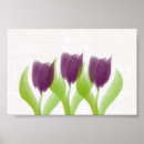 Suche nach floristen poster Aquarell