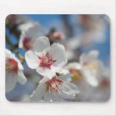 Suche nach mandelblüten mousepads Quelle